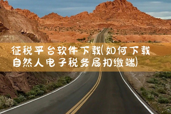 征税平台软件下载