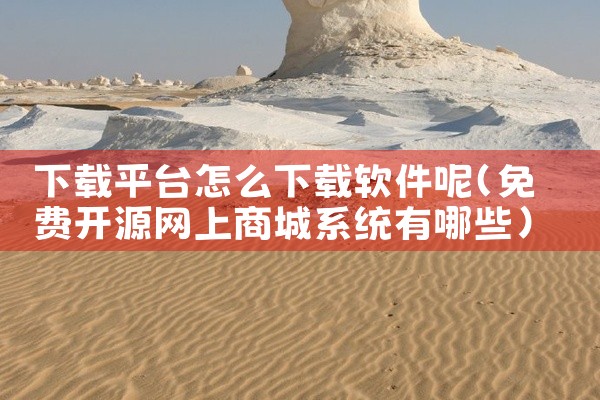 下载平台怎么下载软件呢