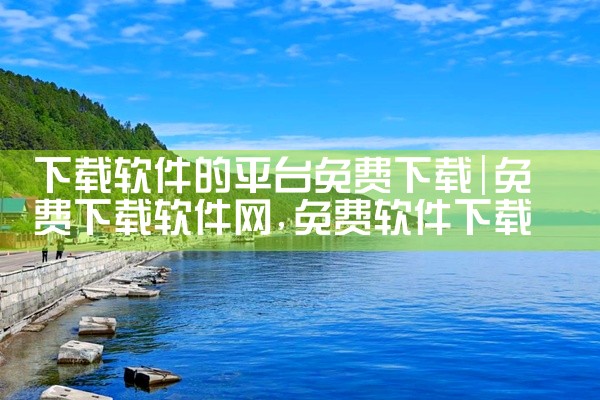 下载软件的平台免费下载